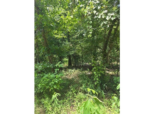 23646 CR 4154, Orange, TX 77632