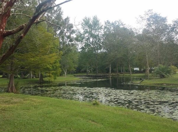 119 Ceasar Rd, Picayune, MS 39466