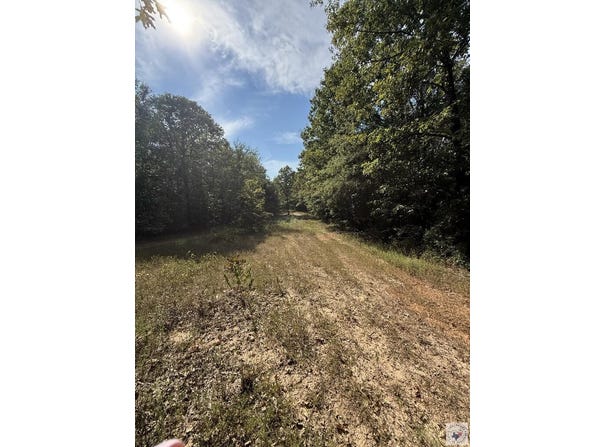 371 County Road 4266, Simms, TX 75574