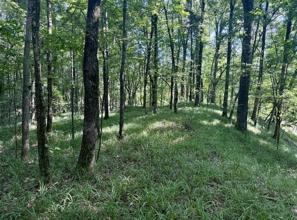 Hardy Rd, GRENADA, MS 38901