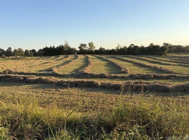 Rob Hill Road, Dardanelle, AR 72834