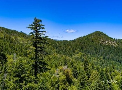 Forest Rte 4N20, Hyampom, CA 96046