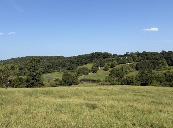 6056 Red Hollow Road, Birmingham, AL 35215