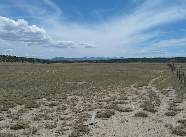 Windsor Valley Ranch 40, Concho, AZ 85924