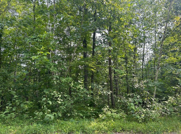 Central Street, Garrison, MN 56450