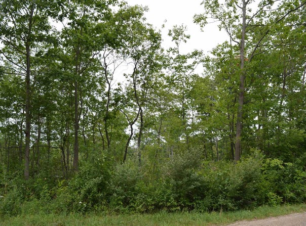 FISHER ROAD, TRAVERSE CITY, MI 49685