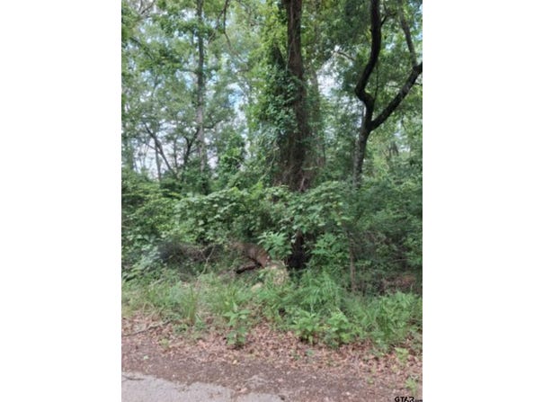 Dogwood drive, Murchison, TX 75778