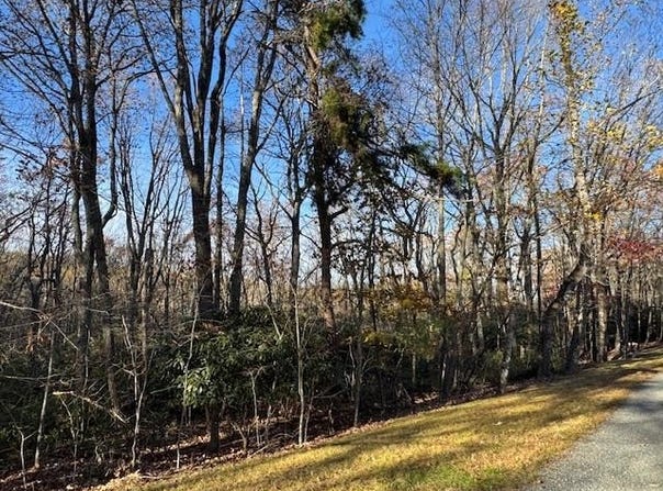 Crooked White Oak Tr lot: 55,26,27,28, Hillsville, VA 24343