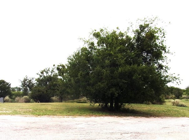 TBD 000 Clear St, San Saba, TX 76877