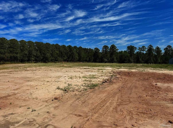 T Bridge Rd lot: 2 0, Red Level, AL 36474