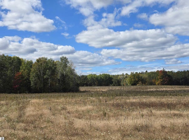 Towerline Road, Hale, MI 48739