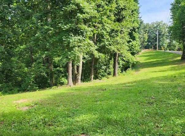 Lakeview Trail, HOLLADAY, TN 38341