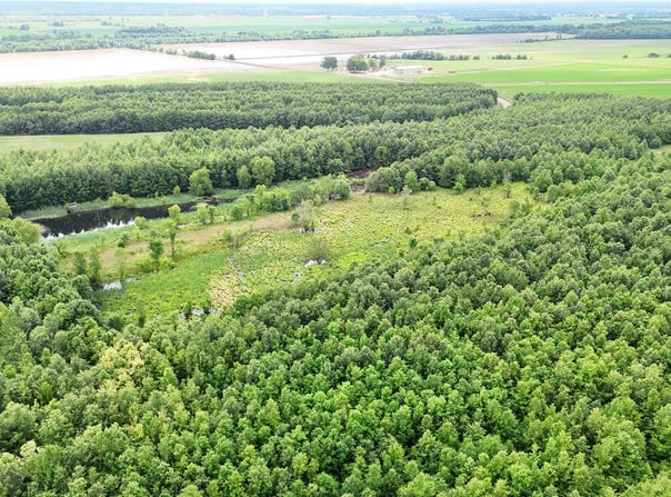 118 cloar rd, Earle, AR 72331
