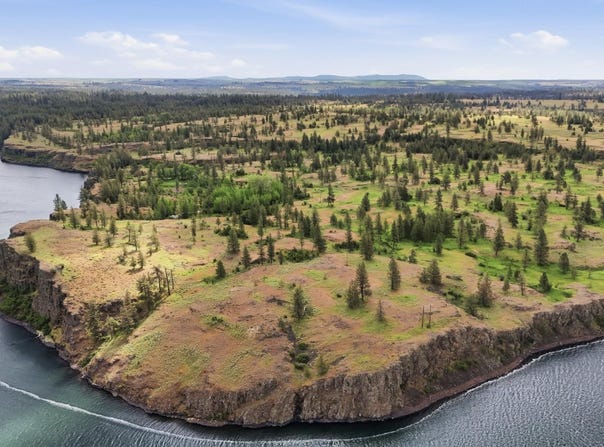 Williams Lake Rd, Cheney, WA 99004