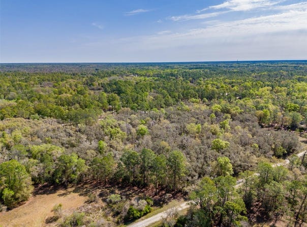 7252 SONIA Avenue, WEBSTER, FL 33597