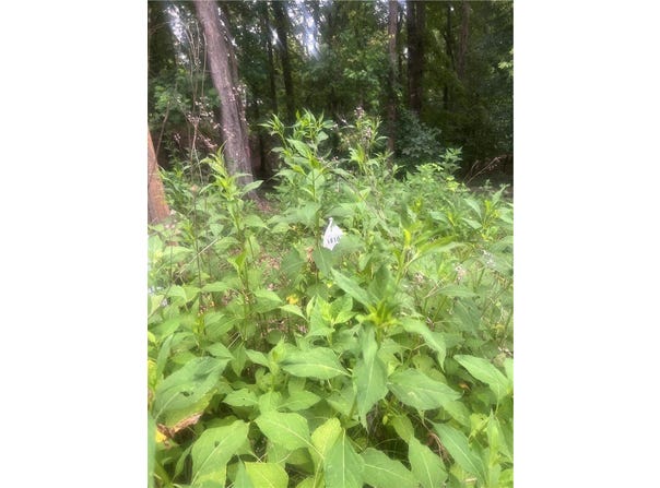 S Arrowhead Drive, Westminster, SC 29693