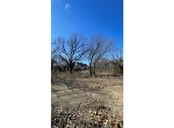 County Road 1223, Daingerfield, TX 75638