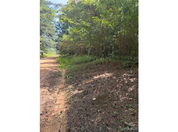 Otter Rd, Greensboro, AL 35441