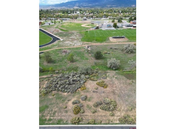 730 SE Pinyon Street, Cedaredge, CO 81413