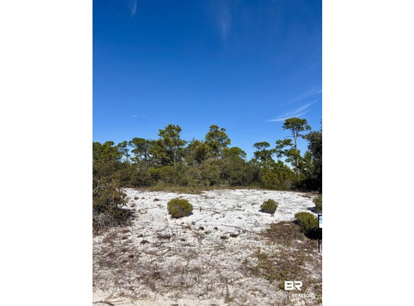 River Road, Orange Beach, AL 36561