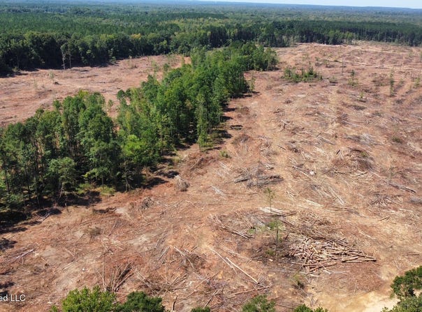 6 Cut Off Road, Carthage, MS 39051