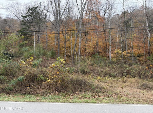 Stinking Creek Rd, LaFollette, TN 37766