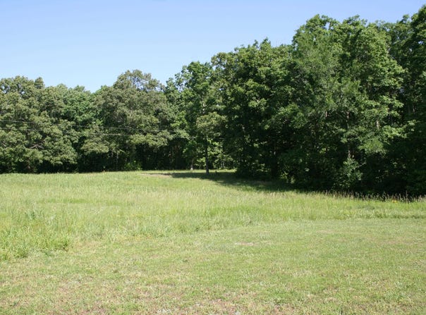 Brodies Landing, Parsons, TN 38363