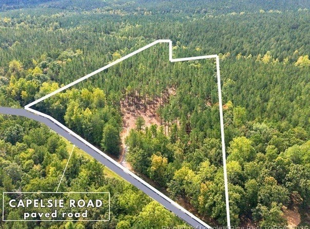 Capelsie Road lot: 1, Candor, NC 27229