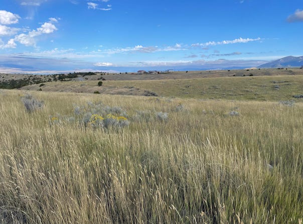 S Fork Ray Creek Road, Townsend, MT 59644