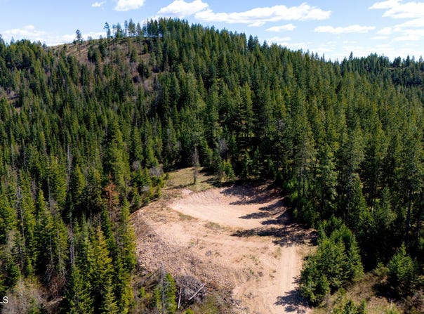 Lone Moose Dr lot: 10, Plummer, ID 83851