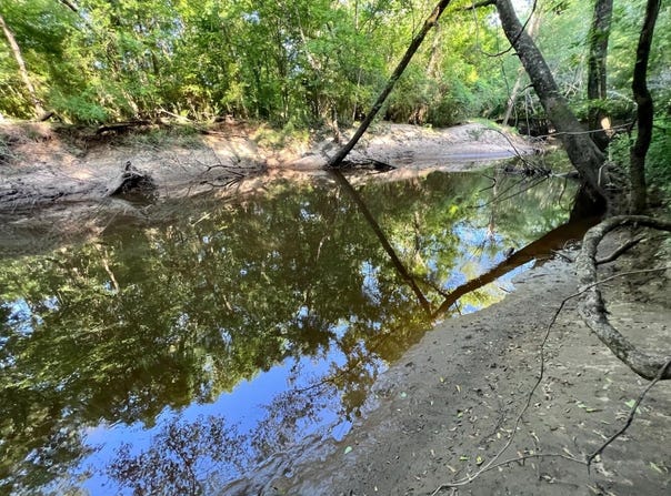 Bashi Road, Millry, AL 36558