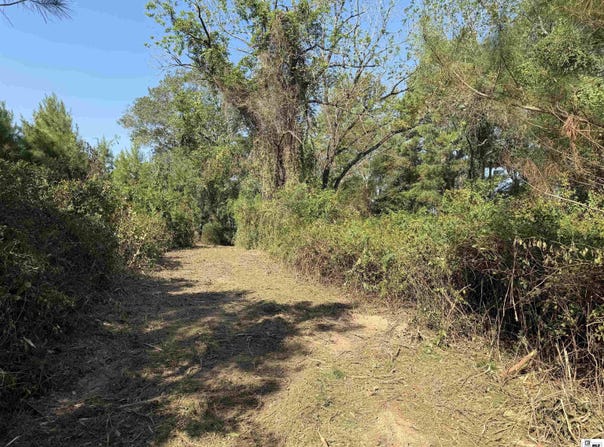 DOUBLE BRIDGE ROAD lot: 2.2, Bernice, LA 71277