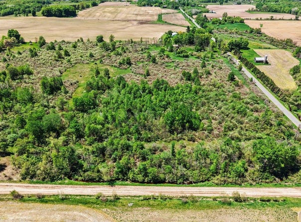 7015 E Harrison Road, Walkerville, MI 49459