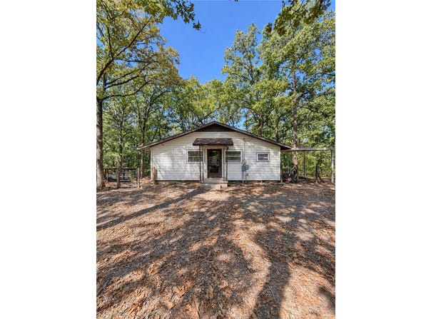 10252 Carter Cove Road, Plainview, AR 72857