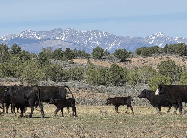 5846 St Hwy 140, Hesperus, CO 81326