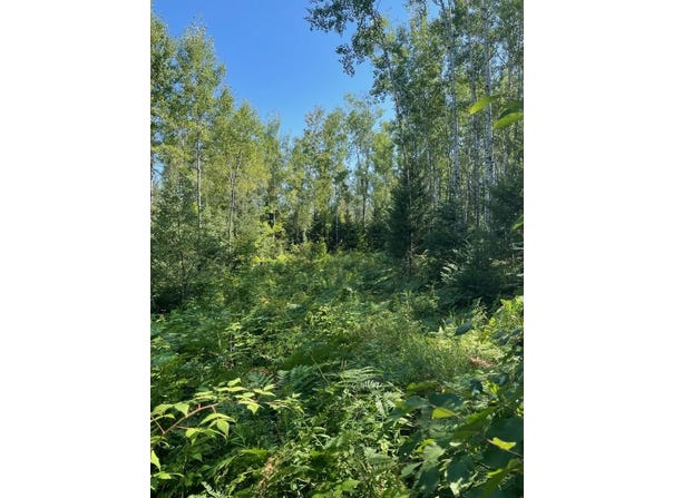W HERZOG Road, IRON MOUNTAIN, MI 49801