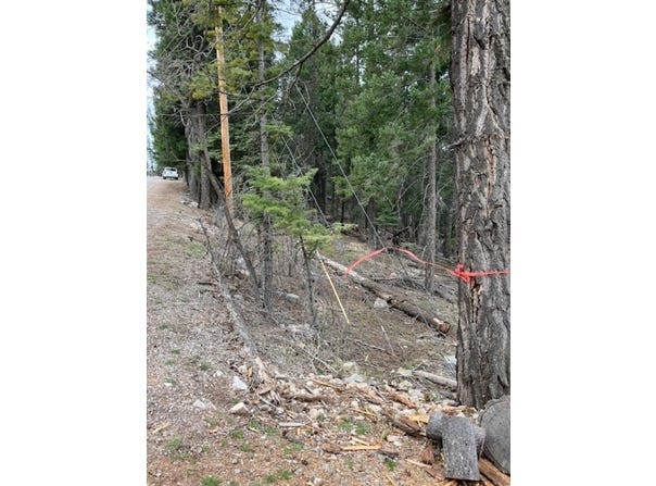 Sugar Pine Dr lot: 16, Cloudcroft, NM 88317-0544