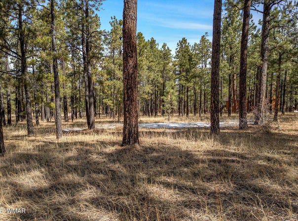 3 N1062, Greer, AZ 85927