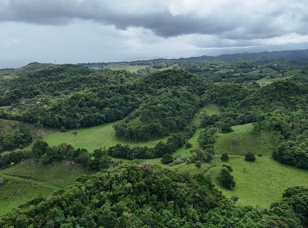 RÃo Arriba Poniente, ManatÃ, PR 00674