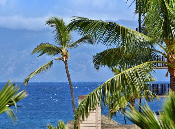 3445 Lower Honoapiilani Rd, Lahaina, HI 96761