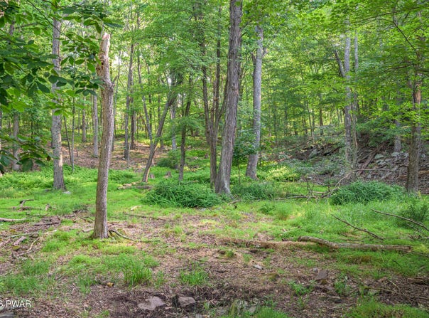 High Ridge Ct, Dingmans Ferry, PA 18328
