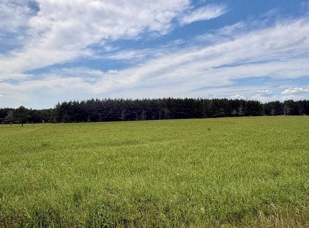 3785 Grant 9, Sheridan, AR 72150