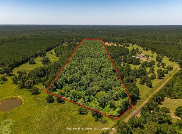 PID #13246 FM 323, Elkhart, TX 75839