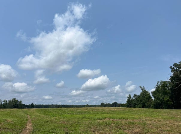 Ewing Ridge Rd, Dunnville, KY 42528
