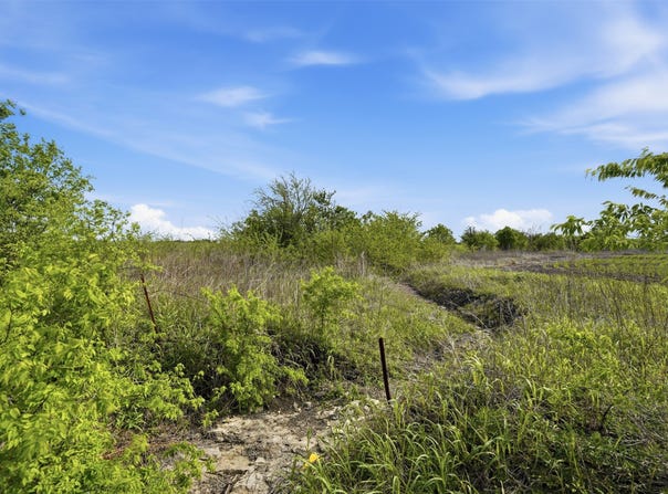 FM 1243, Milford, TX 76670