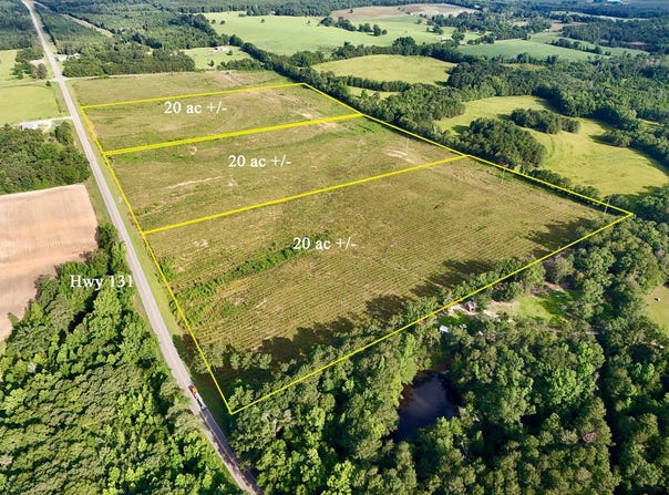0 Hwy 131, Clayton, AL 36016