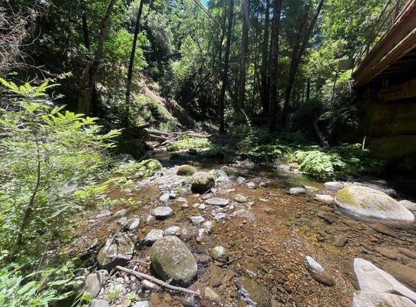 0 Deer Creek (Lot 21) RD, BOULDER CREEK, CA 95006