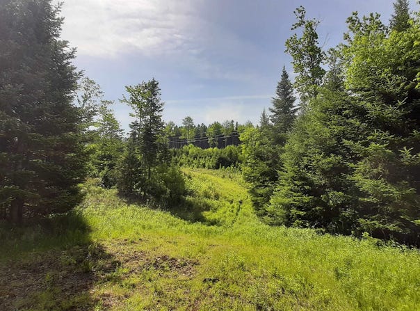 Summit Road, Mount Holly, VT 05758