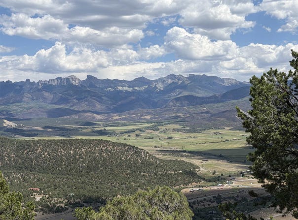 Pine Drive, Ridgway, CO 81432