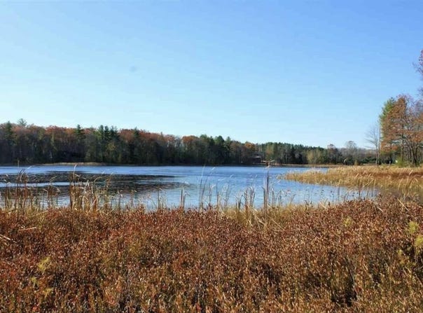 312 Blue Heron Drive, Kalkaska, MI 49646